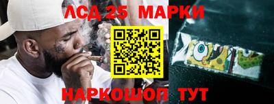 сатива Будённовск